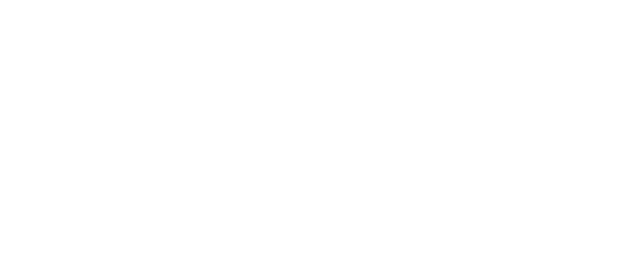 TwinViz Logo